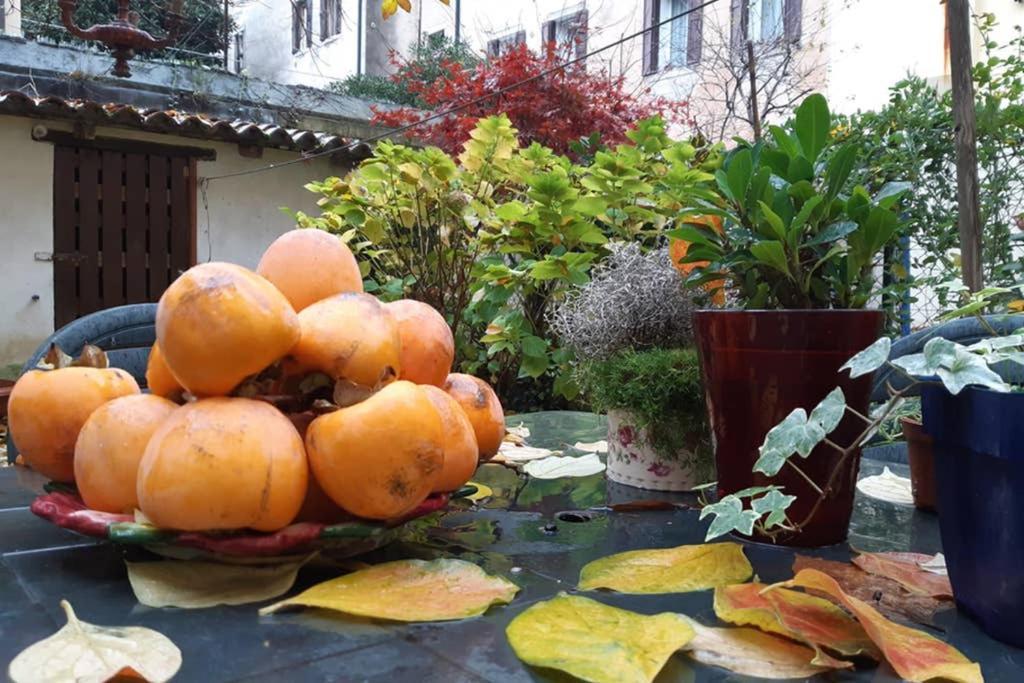 Casa Pusterla Διαμέρισμα Βενετία Εξωτερικό φωτογραφία